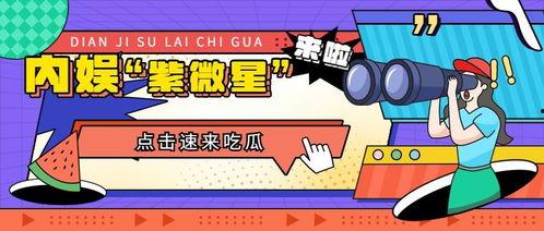 吃瓜喵娱乐速报,娱乐圈最新热点，揭秘明星幕后故事